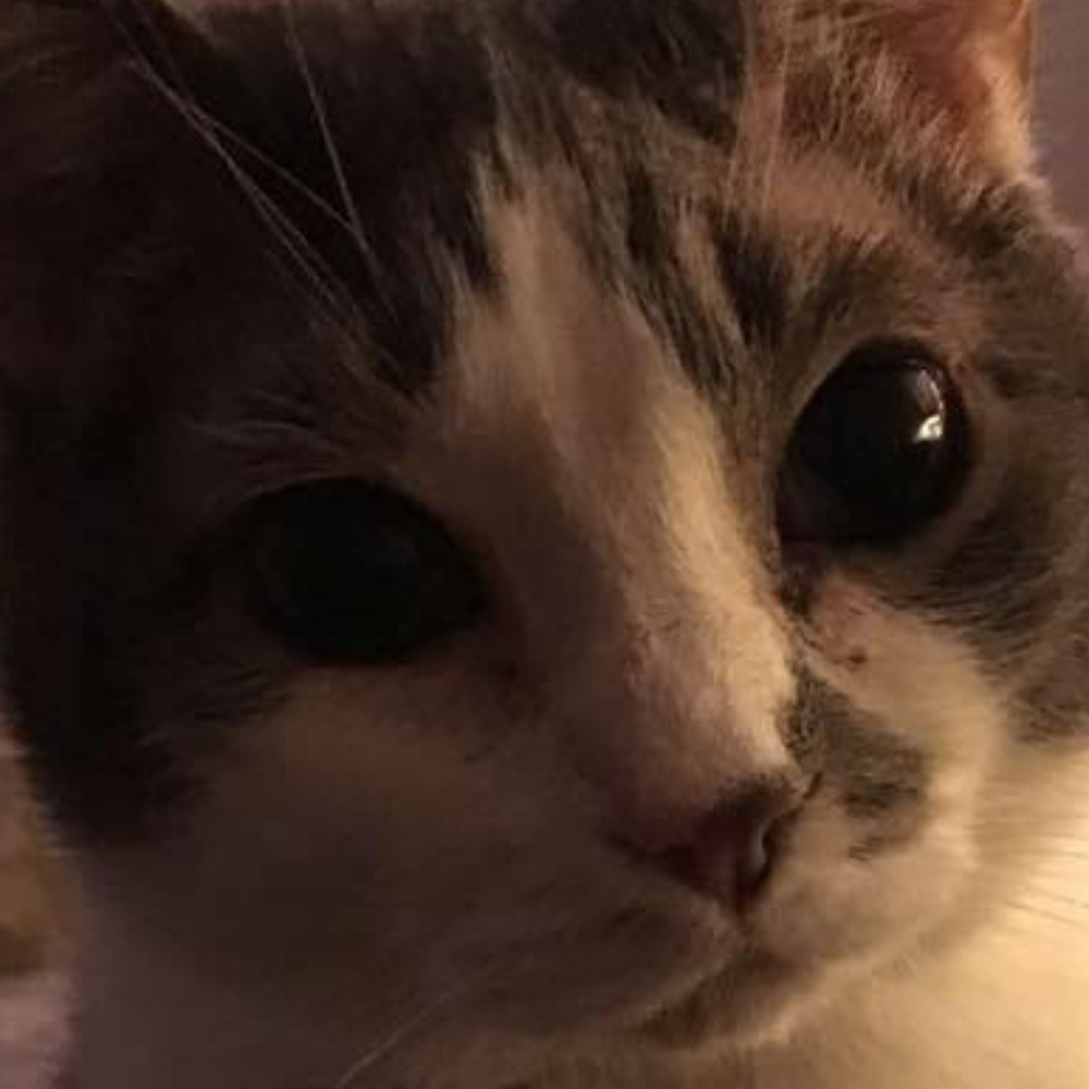 Meet your Posher, Margaret